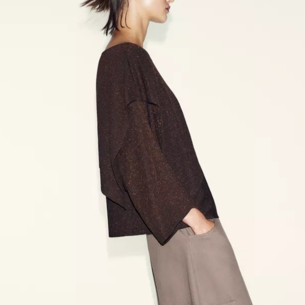 Zara MetallIic Thread Top - Picture 4 of 8